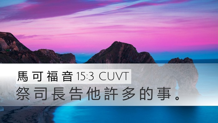 馬 可 福 音 15:3 CUVT Desktop Wallpaper - 祭 司 長 告 他 許 多 的 事 - Desktop Bible Verse Wallpaper