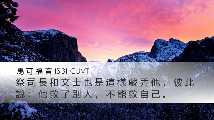 馬 可 福 音 15:31 CUVT Desktop Wallpaper - 祭 司 長 和 文 士 也 是 這 樣 戲 弄 - Desktop Bible Verse Wallpaper