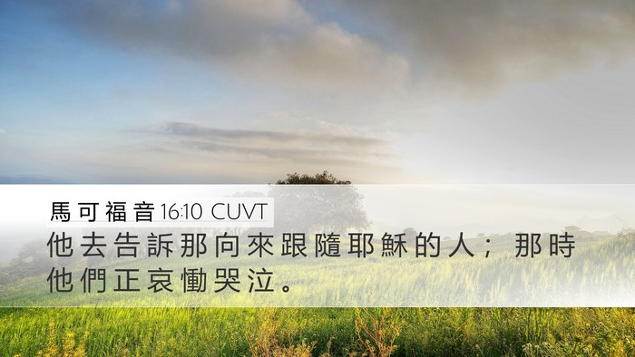 馬 可 福 音 16:10 CUVT Bible Verse Image