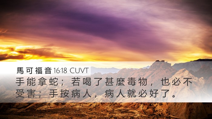 馬 可 福 音 16:18 CUVT Desktop Wallpaper - 手 能 拿 蛇 ； 若 喝 了 甚 麼 毒 物 - Desktop Bible Verse Wallpaper