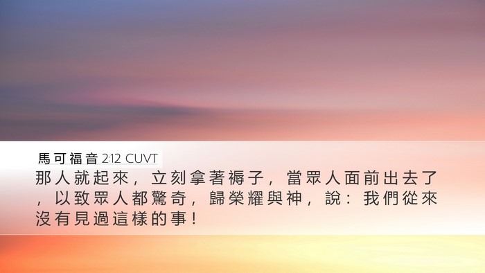 馬 可 福 音 2:12 CUVT Bible Verse Image