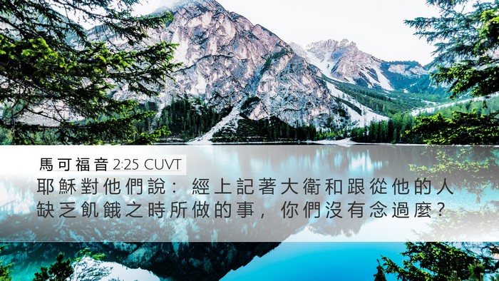馬 可 福 音 2:25 CUVT Bible Verse Image