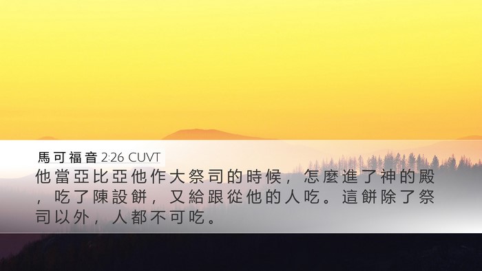 馬 可 福 音 2:26 CUVT Bible Verse Image