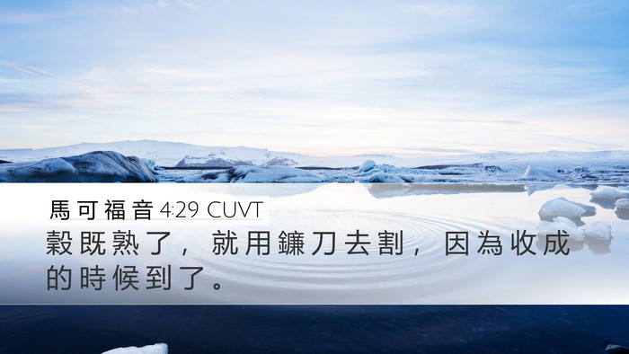 馬 可 福 音 4:29 CUVT Bible Verse Image
