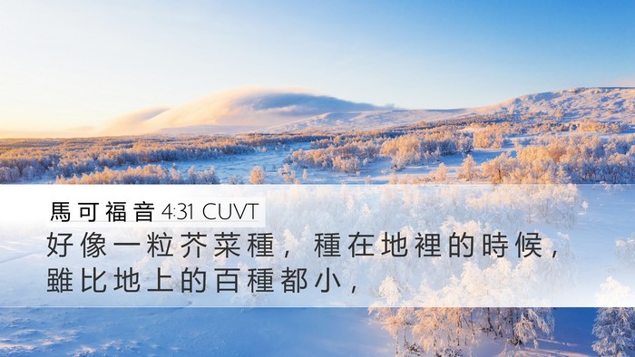 馬 可 福 音 4:31 CUVT Desktop Wallpaper - 好 像 一 粒 芥 菜 種 ， 種 在 地 裡 - Desktop Bible Verse Wallpaper
