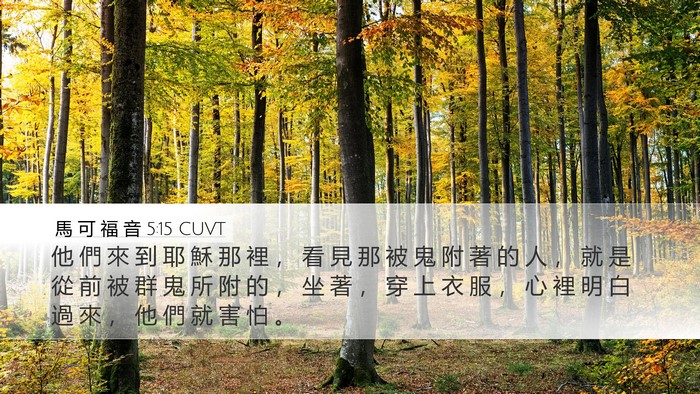 馬 可 福 音 5:15 CUVT Bible Verse Image