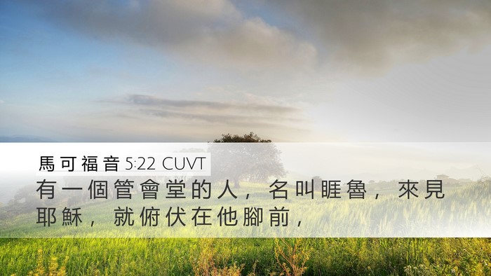 馬 可 福 音 5:22 CUVT Bible Verse Image