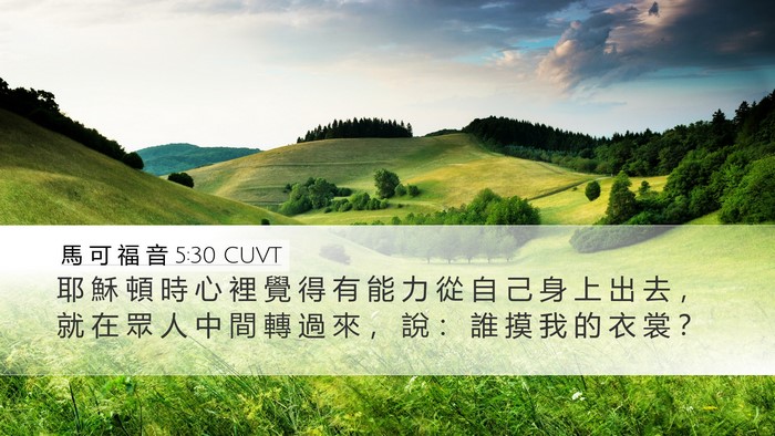 馬 可 福 音 5:30 CUVT Bible Verse Image