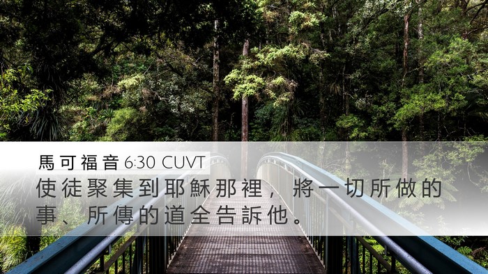 馬 可 福 音 6:30 CUVT Bible Verse Image