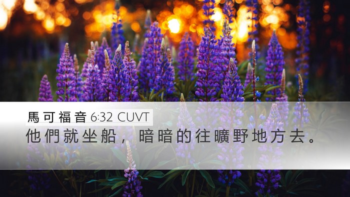 馬 可 福 音 6:32 CUVT Desktop Wallpaper - 他 們 就 坐 船 ， 暗 暗 的 往 曠 野 - Desktop Bible Verse Wallpaper