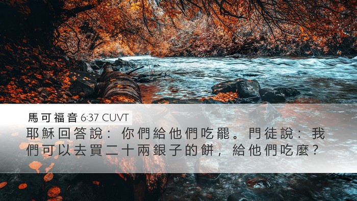 馬 可 福 音 6:37 CUVT Bible Verse Image