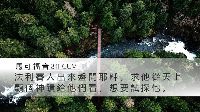 馬 可 福 音 8:11 CUVT Bible Verse Image