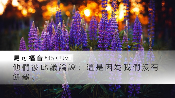馬 可 福 音 8:16 CUVT Bible Verse Image
