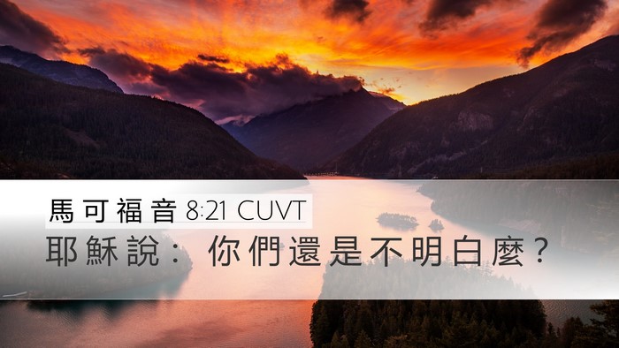 馬 可 福 音 8:21 CUVT Bible Verse Image