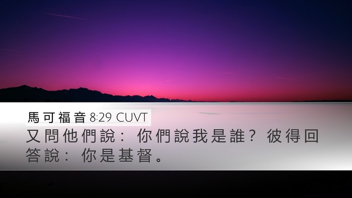 馬 可 福 音 8:29 CUVT Bible Verse Image