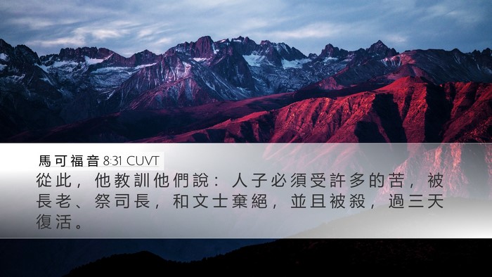 馬 可 福 音 8:31 CUVT Bible Verse Image