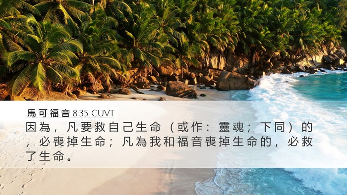 馬 可 福 音 8:35 CUVT Bible Verse Image