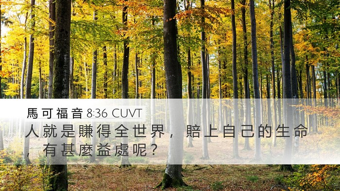 馬 可 福 音 8:36 CUVT Bible Verse Image