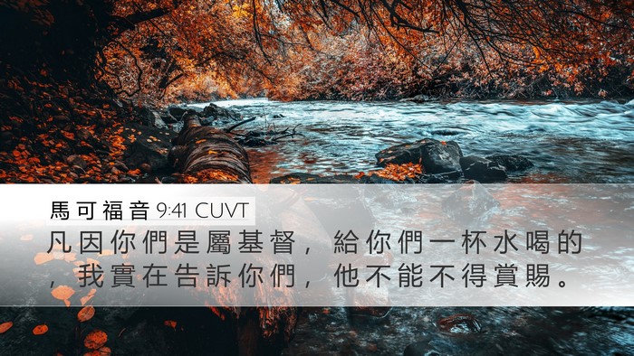 馬 可 福 音 9:41 CUVT Bible Verse Image
