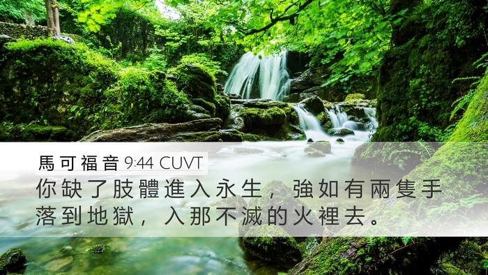 馬 可 福 音 9:44 CUVT Desktop Wallpaper - 你 缺 了 肢 體 進 入 永 生 ， 強 如 - Desktop Bible Verse Wallpaper