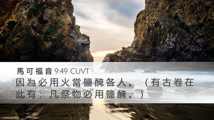 馬 可 福 音 9:49 CUVT Bible Verse Image