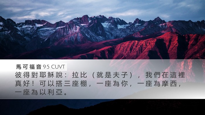馬 可 福 音 9:5 CUVT Bible Verse Image
