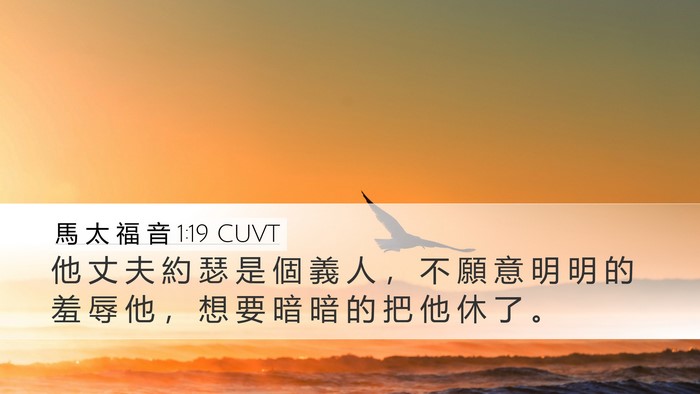 馬 太 福 音 1:19 CUVT Bible Verse Image