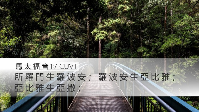 馬 太 福 音 1:7 CUVT Bible Verse Image