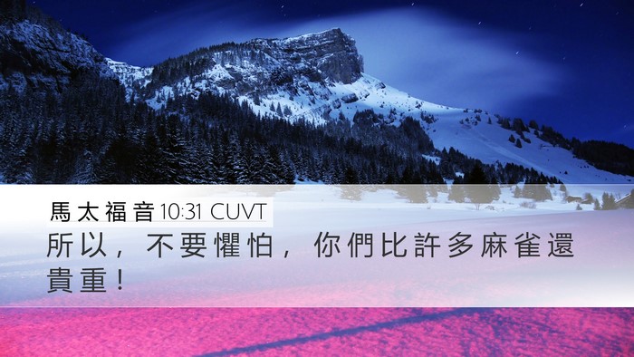 馬 太 福 音 10:31 CUVT Bible Verse Image