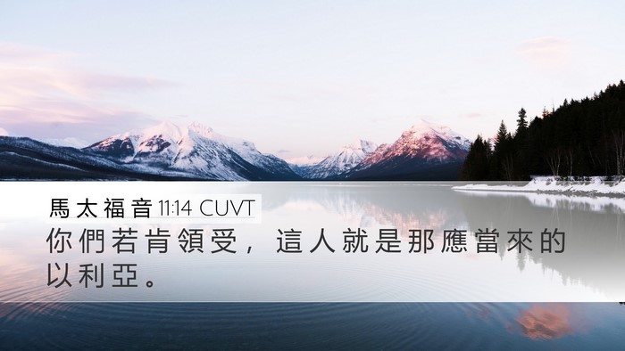 馬 太 福 音 11:14 CUVT Bible Verse Image