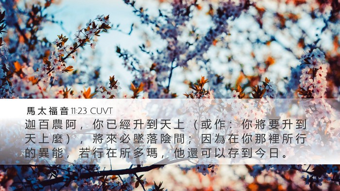 馬 太 福 音 11:23 CUVT Bible Verse Image