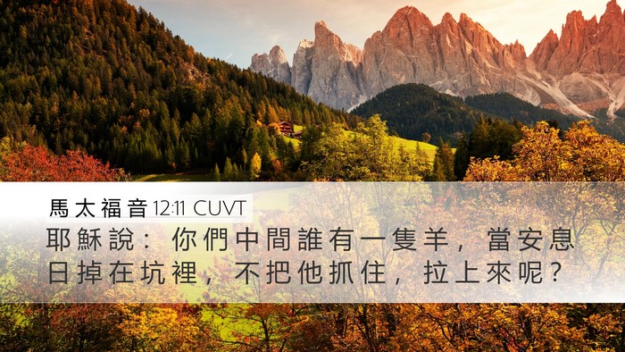 馬 太 福 音 12:11 CUVT Bible Verse Image