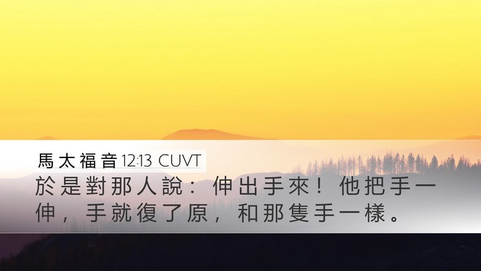 馬 太 福 音 12:13 CUVT Bible Verse Image