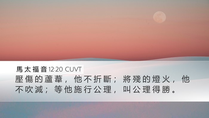 馬 太 福 音 12:20 CUVT Bible Verse Image