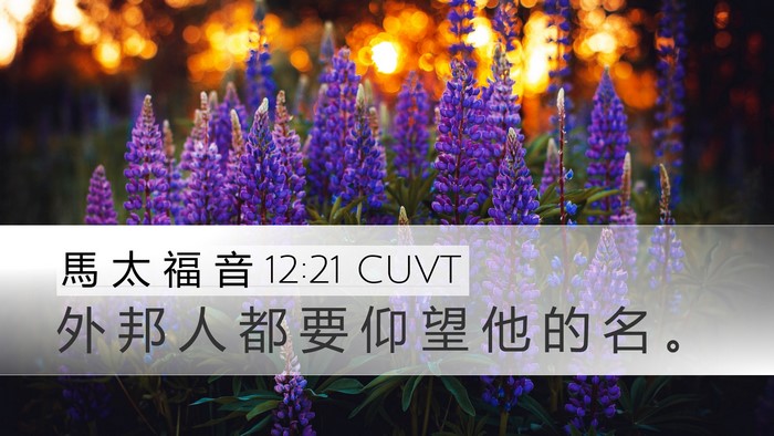 馬 太 福 音 12:21 CUVT Bible Verse Image
