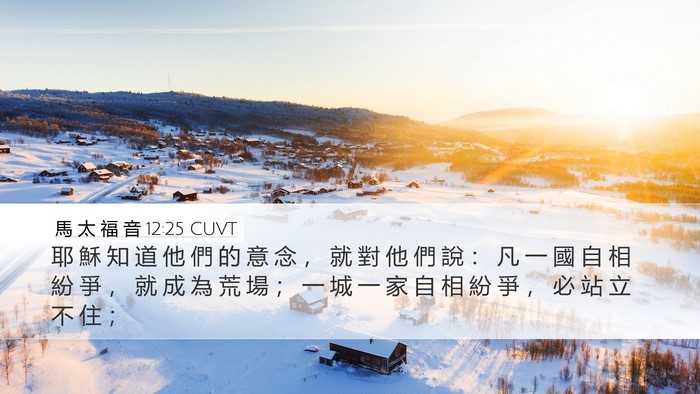 馬 太 福 音 12:25 CUVT Bible Verse Image
