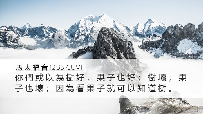 馬 太 福 音 12:33 CUVT Bible Verse Image