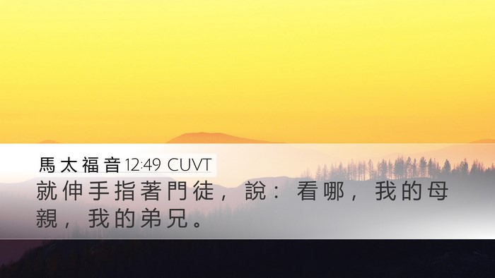 馬 太 福 音 12:49 CUVT Bible Verse Image