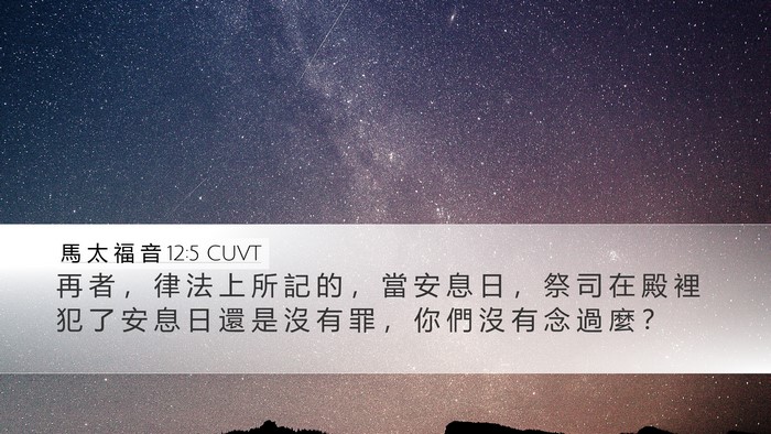 馬 太 福 音 12:5 CUVT Bible Verse Image