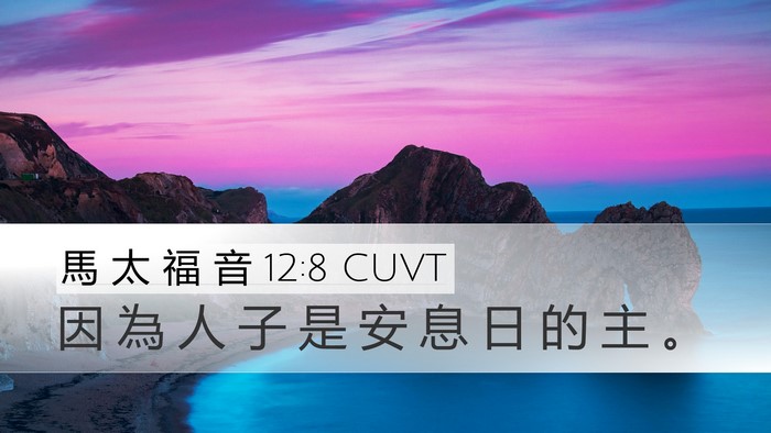 馬 太 福 音 12:8 CUVT Desktop Wallpaper - 因 為 人 子 是 安 息 日 的 主 - Desktop Bible Verse Wallpaper