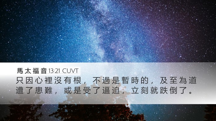 馬 太 福 音 13:21 CUVT Bible Verse Image