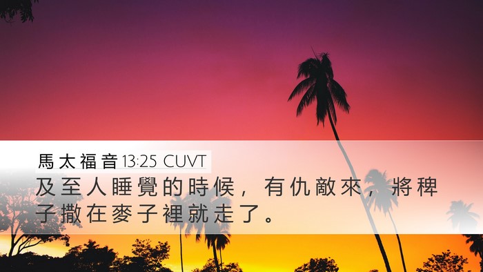 馬 太 福 音 13:25 CUVT Bible Verse Image