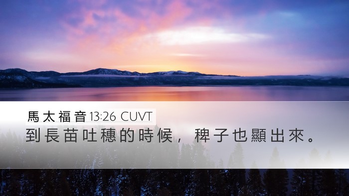 馬 太 福 音 13:26 CUVT Desktop Wallpaper - 到 長 苗 吐 穗 的 時 候 ， 稗 子 也 - Desktop Bible Verse Wallpaper