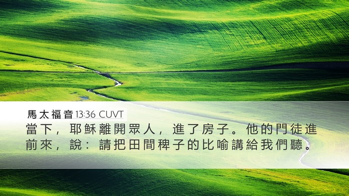 馬 太 福 音 13:36 CUVT Bible Verse Image