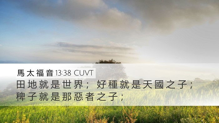 馬 太 福 音 13:38 CUVT Bible Verse Image