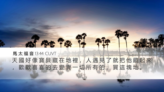 馬 太 福 音 13:44 CUVT Bible Verse Image