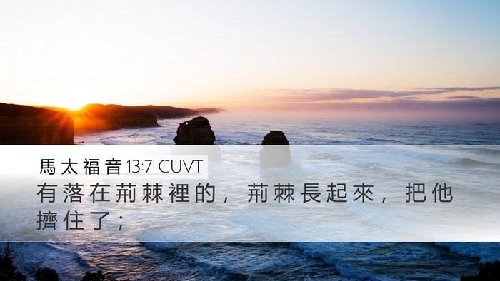 馬 太 福 音 13:7 CUVT Bible Verse Image