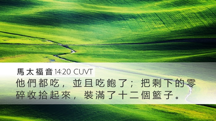 馬 太 福 音 14:20 CUVT Bible Verse Image