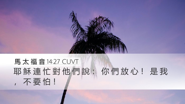 馬 太 福 音 14:27 CUVT Bible Verse Image
