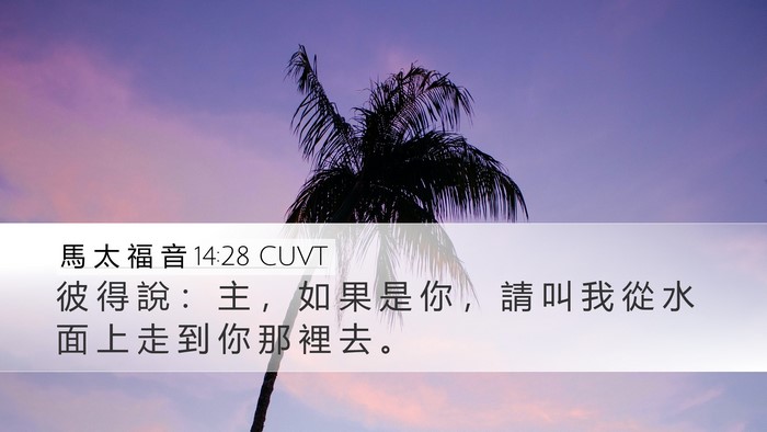 馬 太 福 音 14:28 CUVT Desktop Wallpaper - 彼 得 說 ： 主 ， 如 果 是 你 ， 請 - Desktop Bible Verse Wallpaper